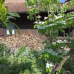 Winkelhaeuschen Ab 3 Naechte Max 4 Pers 아파트 호스바흐