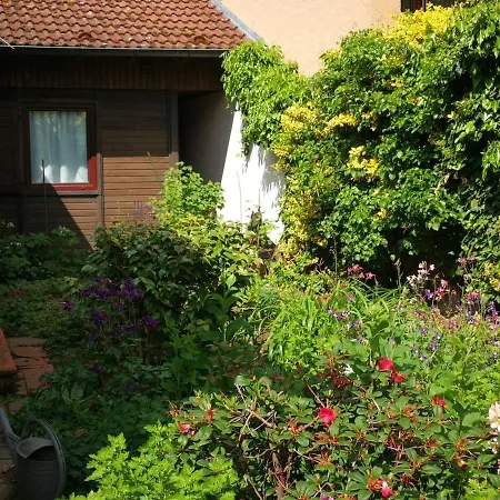 Lejlighed Winkelhaeuschen Ab 3 Naechte Max 4 Pers